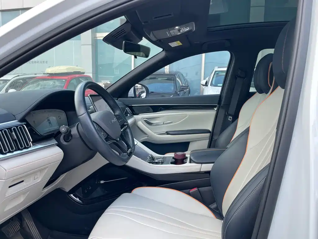 BYD Song PLUS New Energy 2024 — фото 12