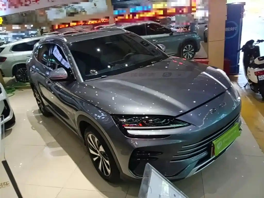 BYD PLUS New Energy 2024 — фото 4