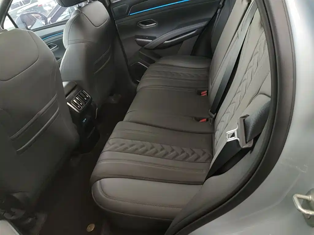 BYD L DM-i 2025 — фото 17