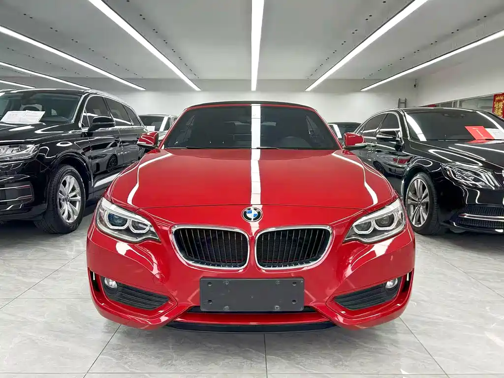 BMW 2 Series 2017