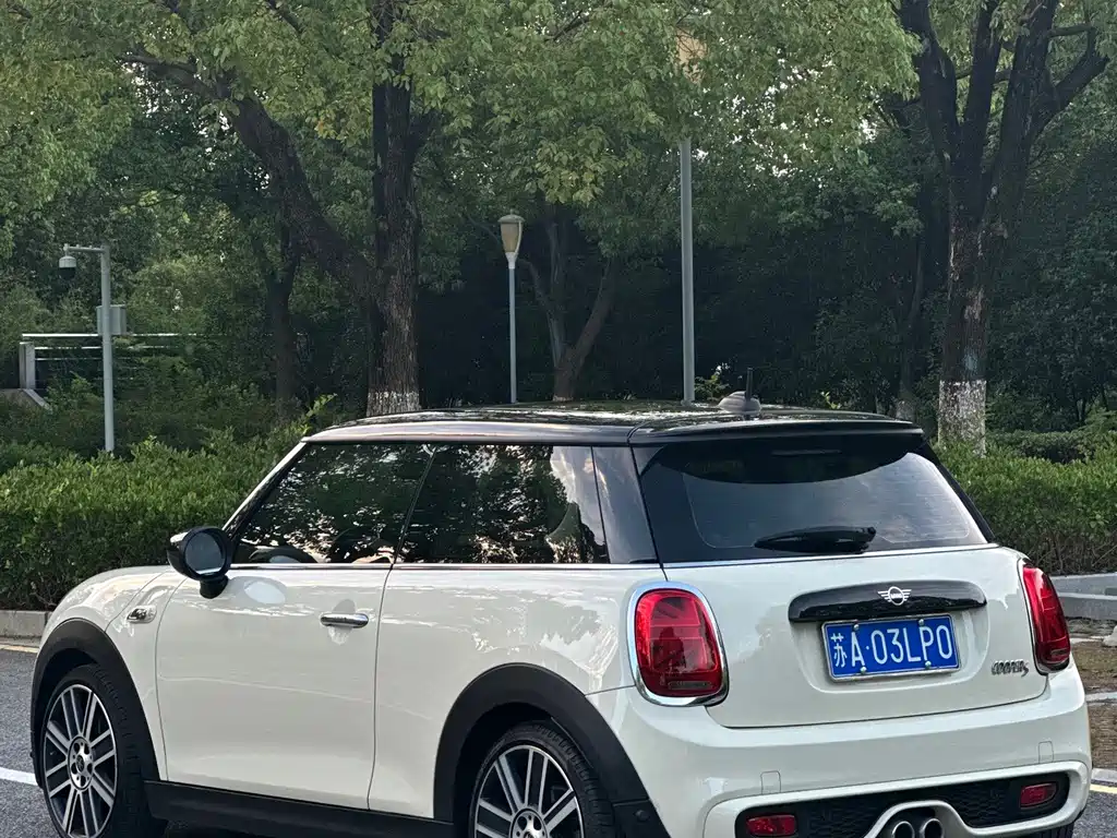 MINI MINI 2020