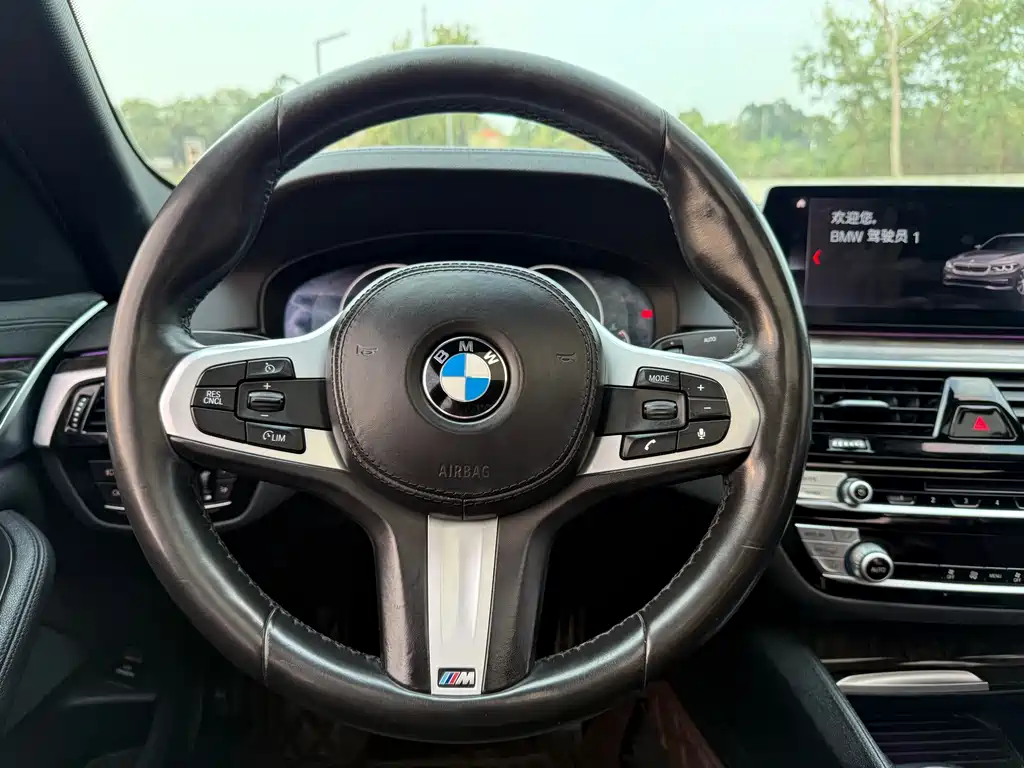 BMW 5 Series 2019 — фото 9