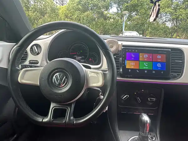 Volkswagen Beetle 2014