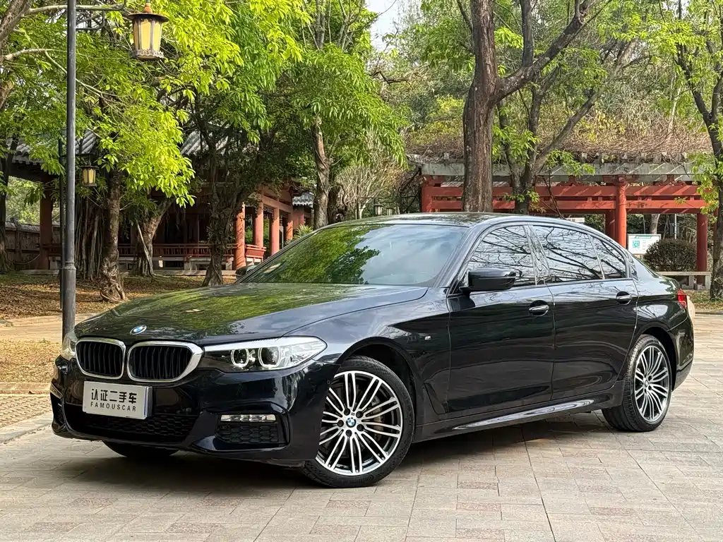 BMW 5 Series 2017 — фото 1