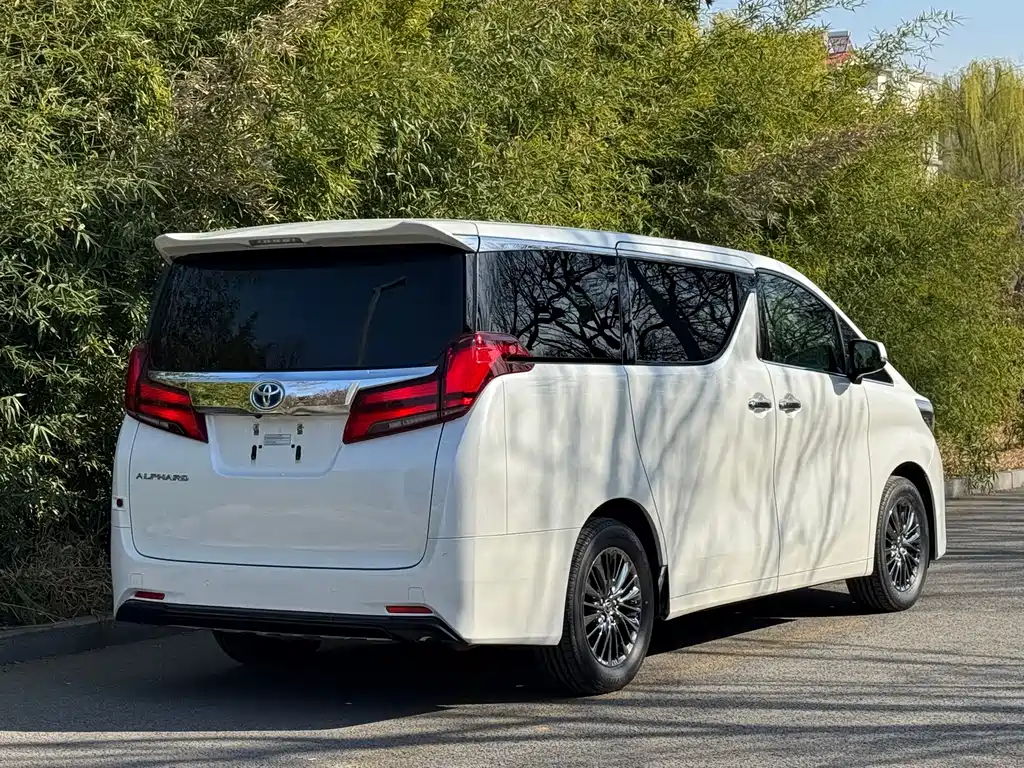 Toyota Alphard 2019 — фото 16