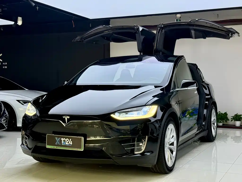 Tesla Model X 2019 — фото 1