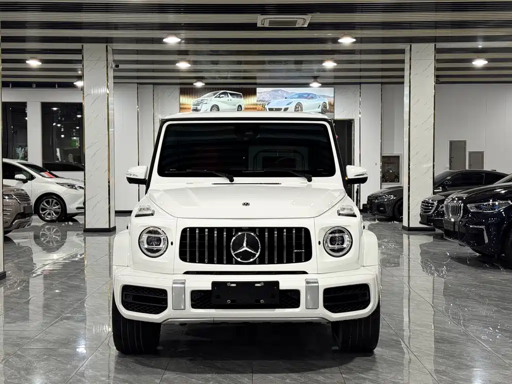 Mercedes-Benz G-Class 2020 — фото 2