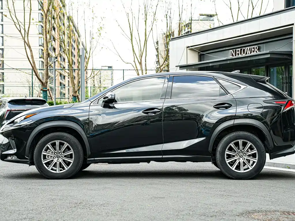 Lexus NX 2020 — фото 6