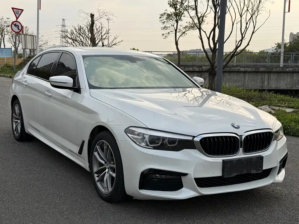BMW 5 Series 2019 — фото 3