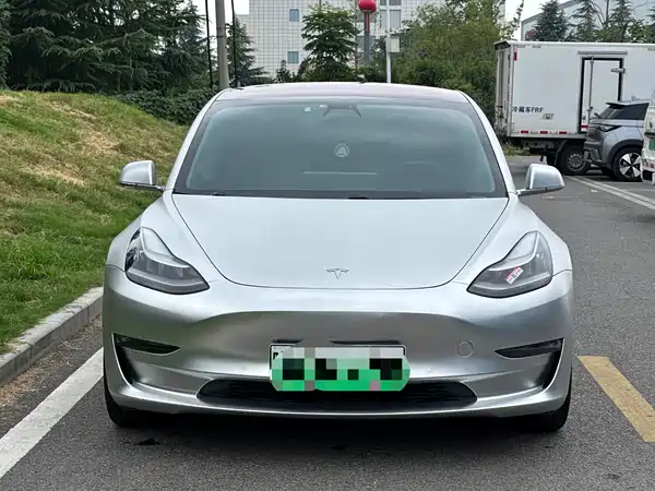 Tesla Model 3 2019