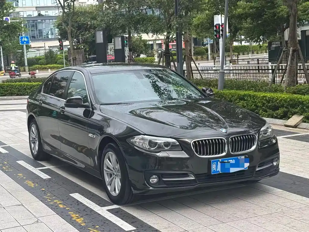 BMW 5 Series 2015