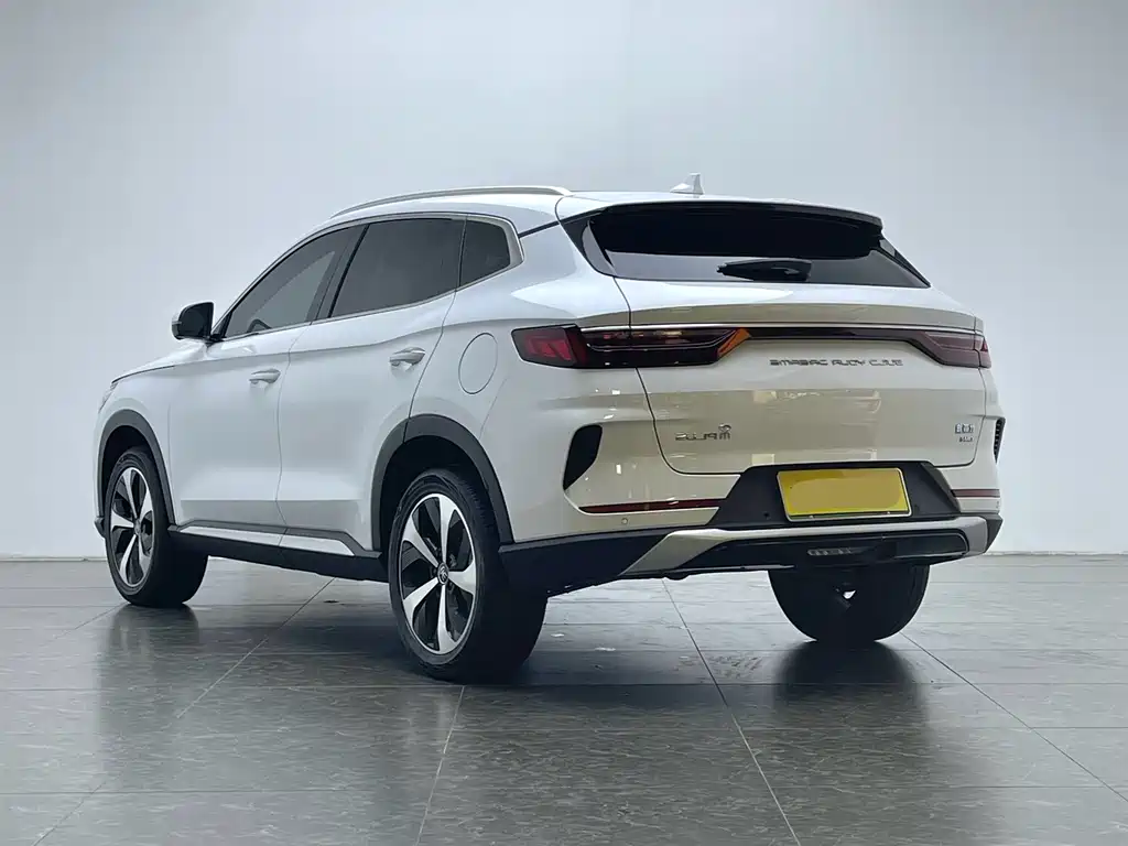 BYD PLUS New Energy 2022 — фото 21