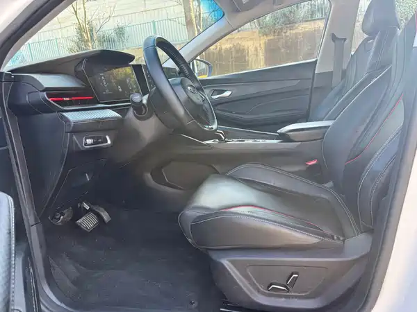 Geely Binrui 2024