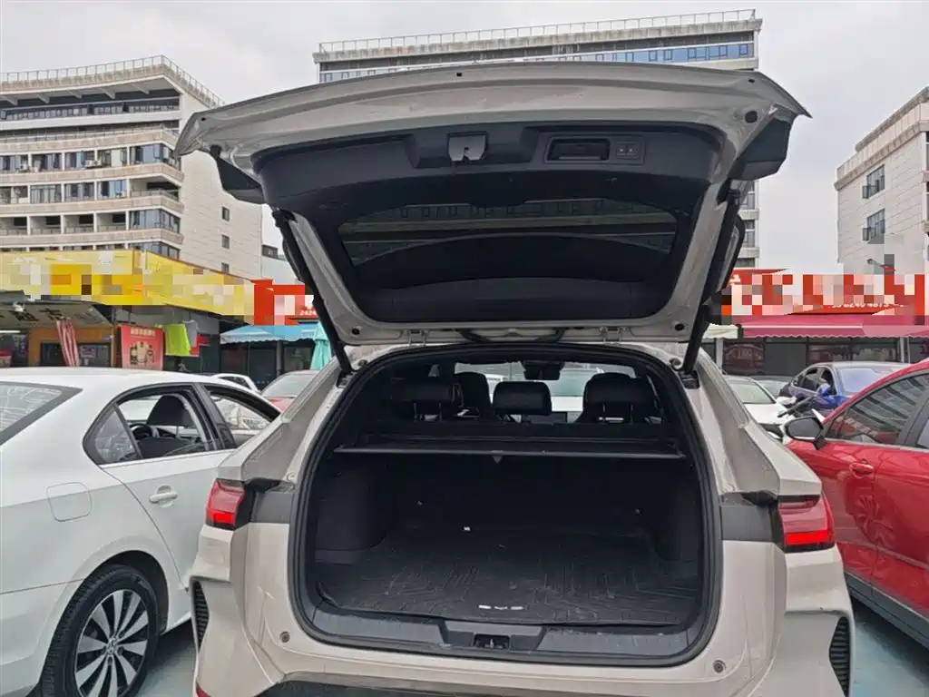 BYD PLUS New Energy 2024 — фото 18