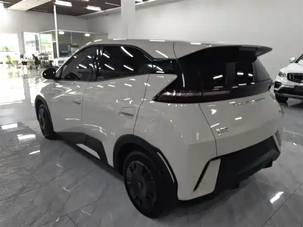 BYD Seagull 2024