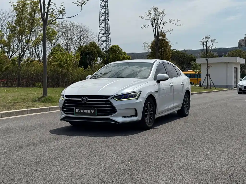 BYD Qin Pro NEV 2020 — фото 1