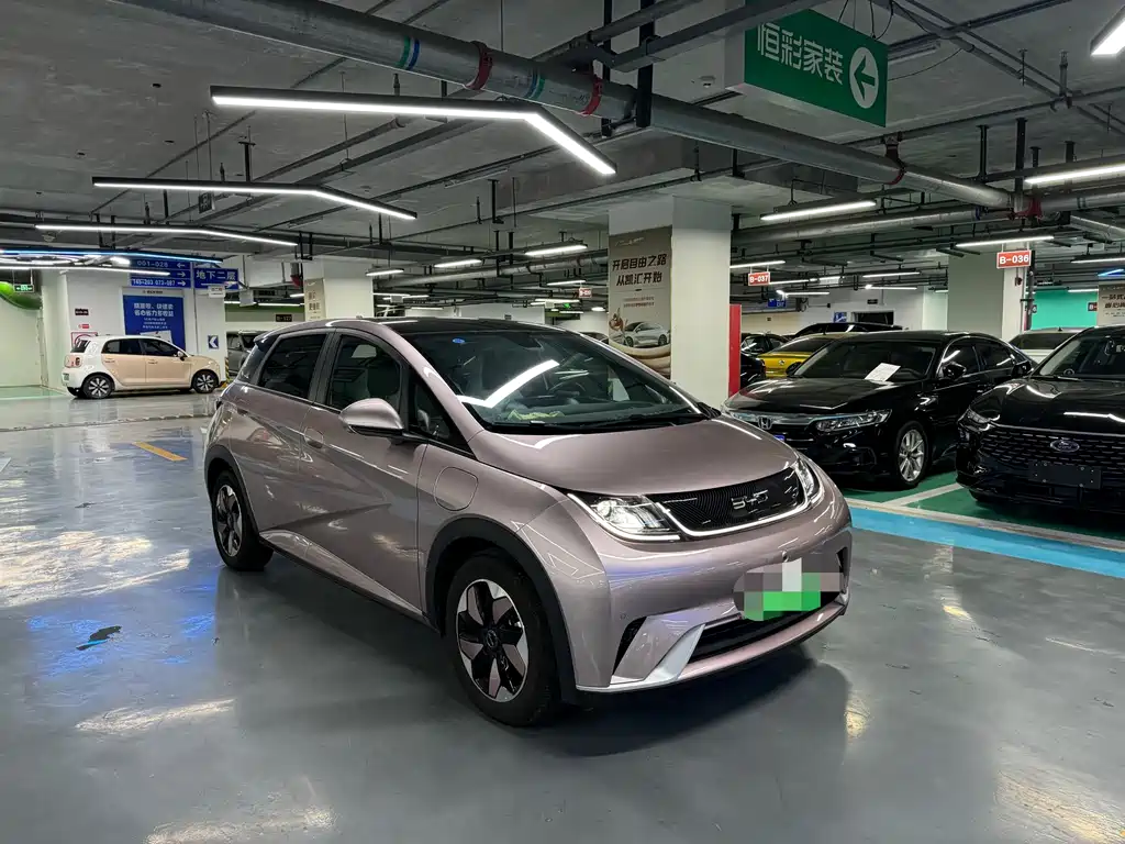 BYD Dolphin 2024