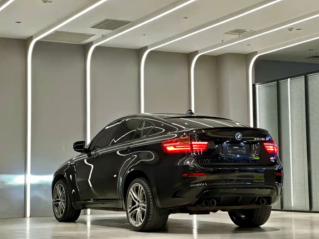 BMW X6 M 2013 — фото 10