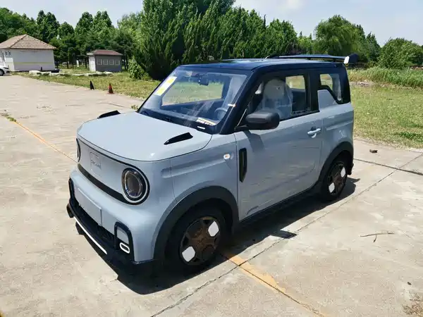 Geely Galaxy Panda 2025