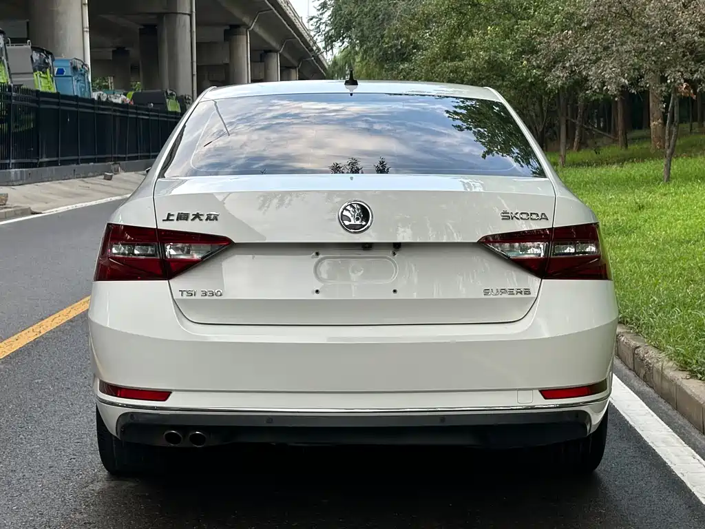 Skoda Speedy 2015
