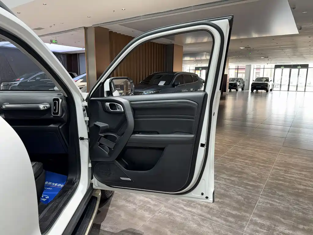 Haval Big Dog 2020 — фото 19