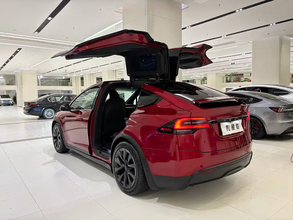 Tesla Model X 2023 — фото 3