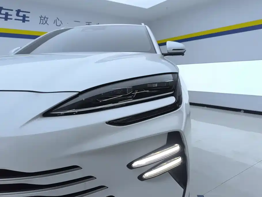 BYD Song PLUS New Energy 2024 — фото 5