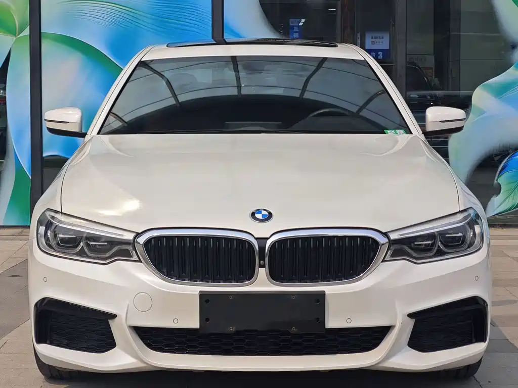BMW 5 Series 2019