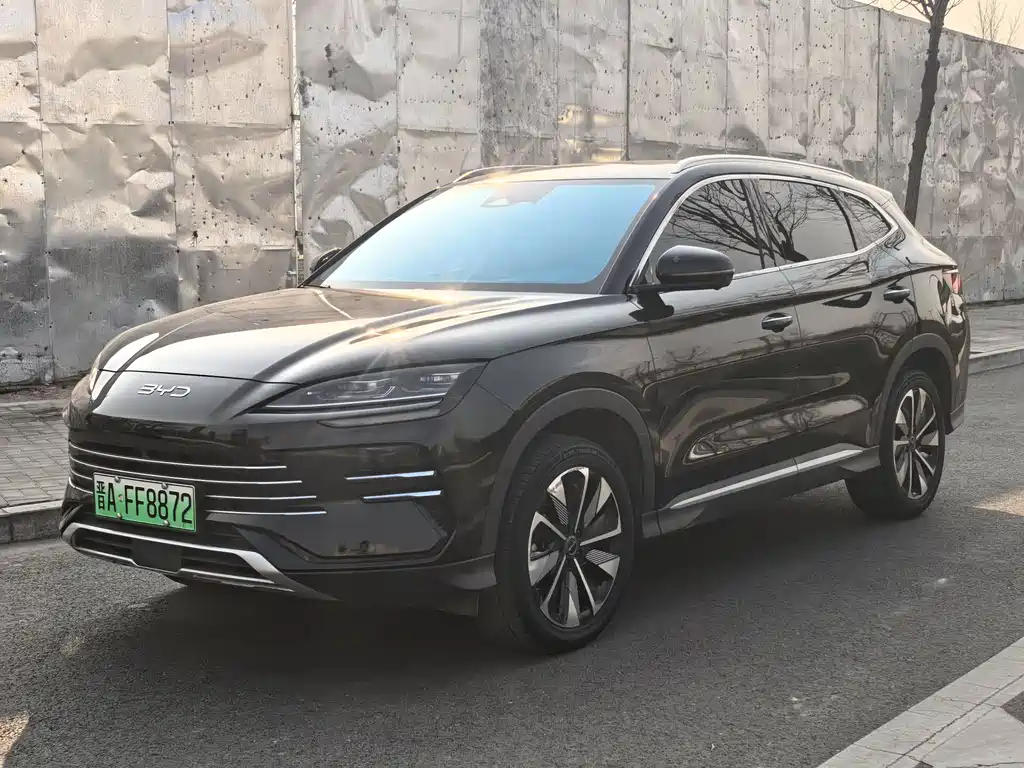 BYD PLUS New Energy 2025 — фото 1