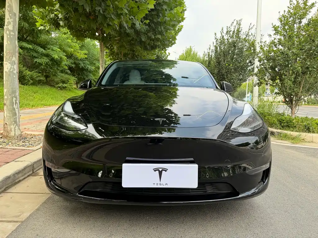 Tesla Model Y 2021 — фото 2
