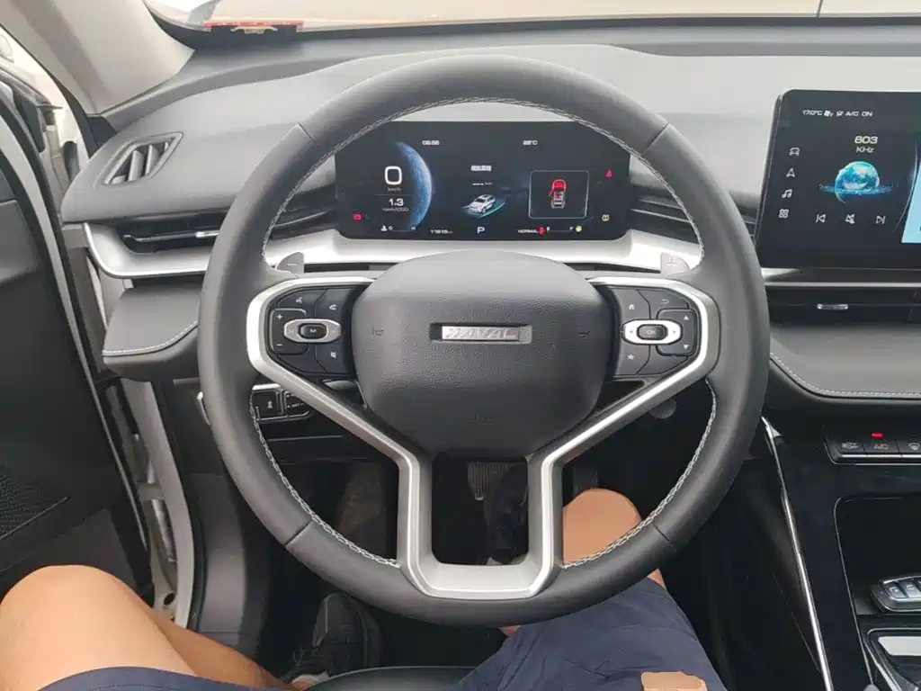 Haval H6 2023 — фото 11