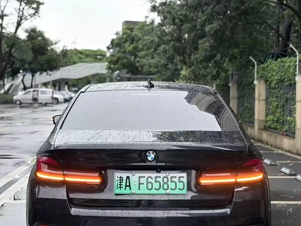BMW 5 Series New Energy 2021