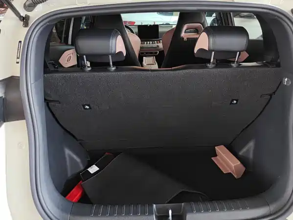 BYD Seagull 2024