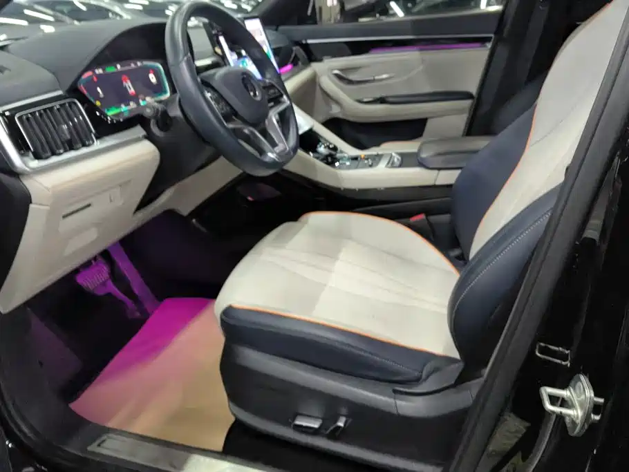BYD Song PLUS New Energy 2023 — фото 9