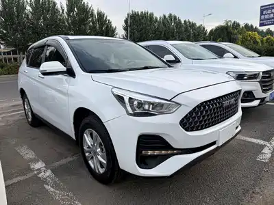 Haval M6 2020