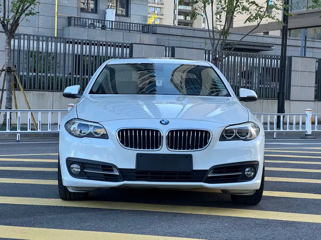 BMW 5 Series 2014 — фото 2