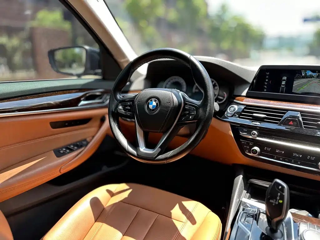 BMW 5 Series 2017 — фото 20