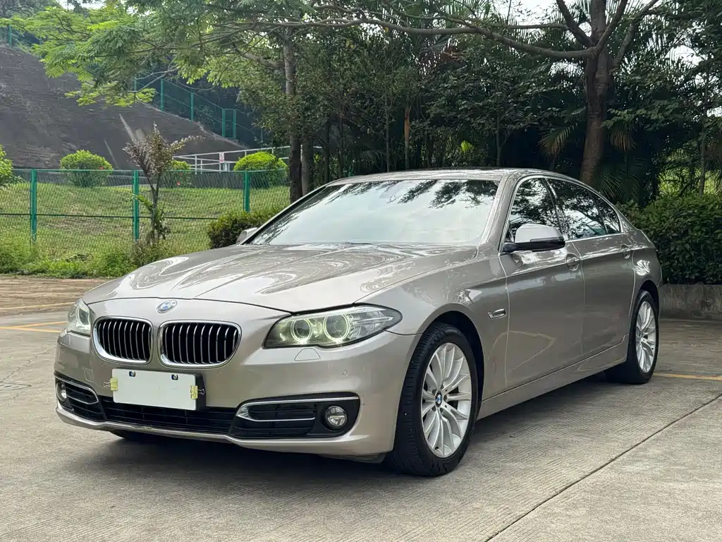 BMW 5 Series 2016 — фото 1
