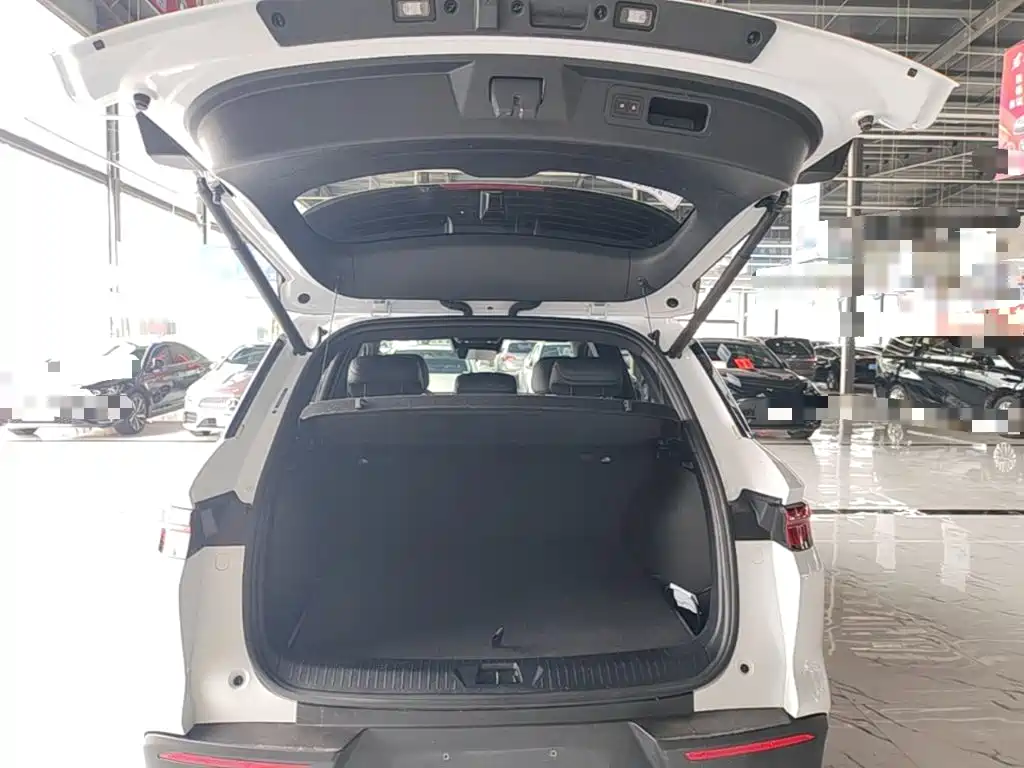 BYD Song Pro New Energy 2025 — фото 19