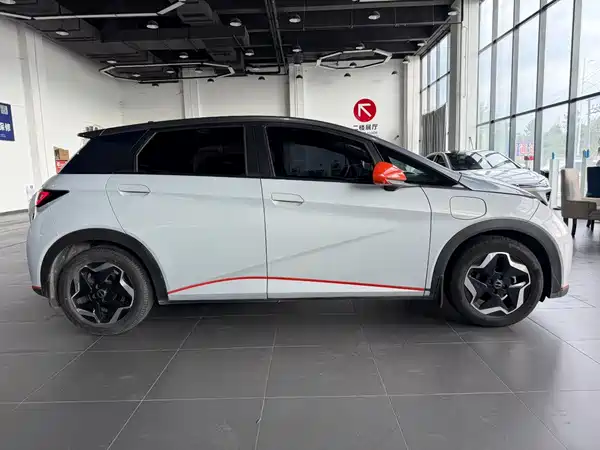BYD Dolphin 2021