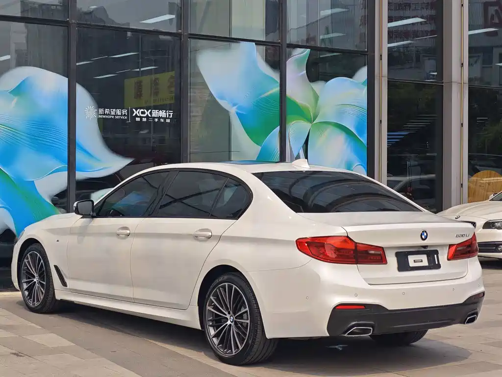 BMW 5 Series 2019