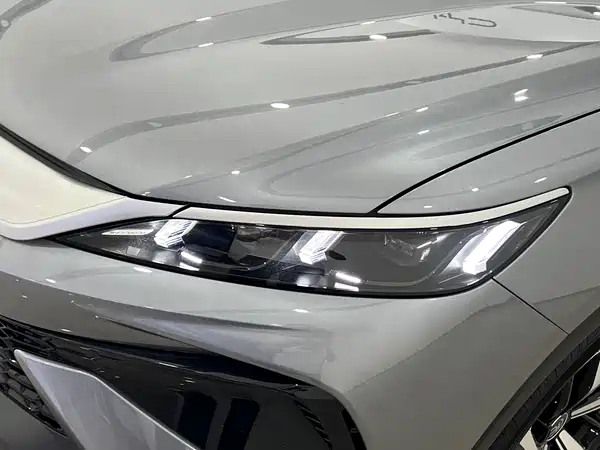 BYD Song Pro New Energy 2025