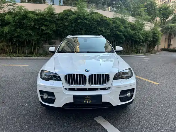 BMW X6 2011