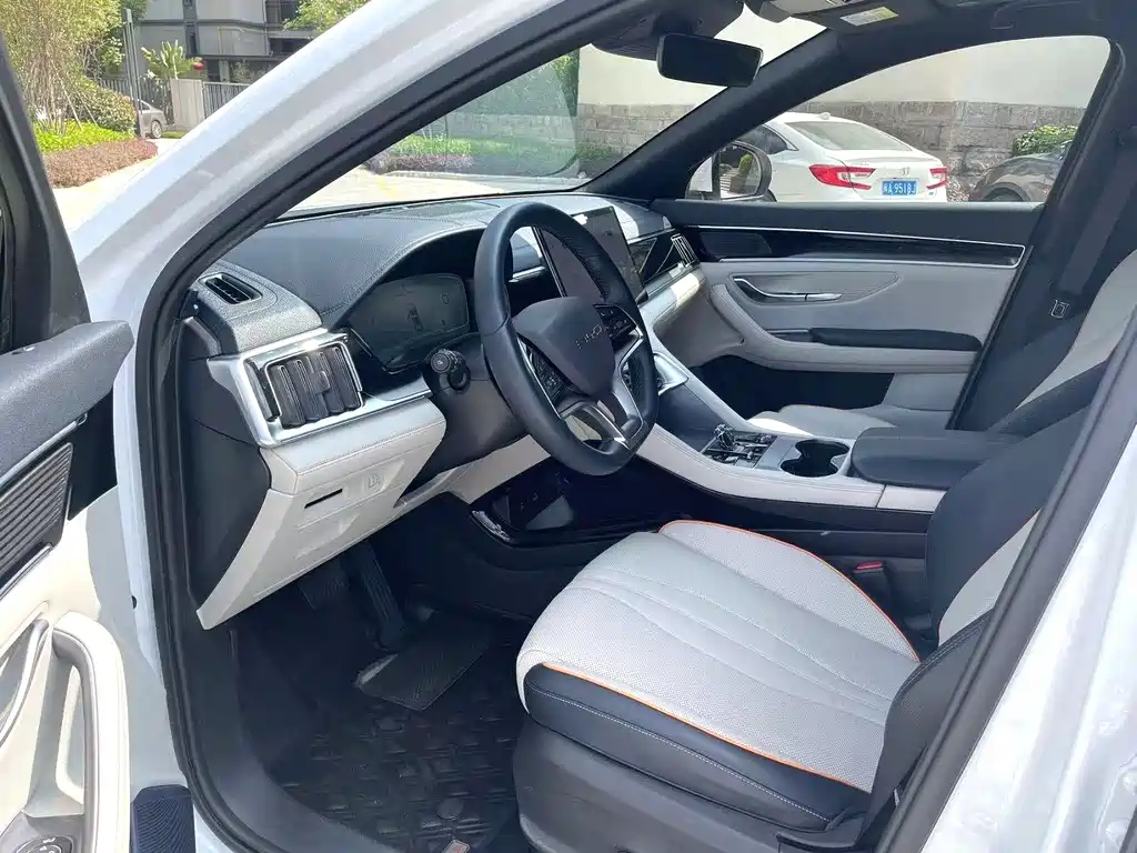 BYD PLUS New Energy 2023 — фото 7