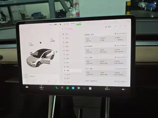 Tesla Model 3 2020
