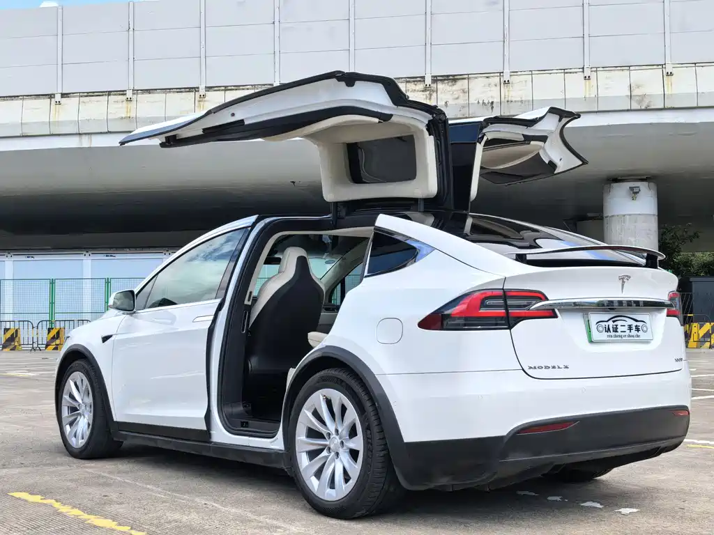 Tesla Model X 2018 — фото 9