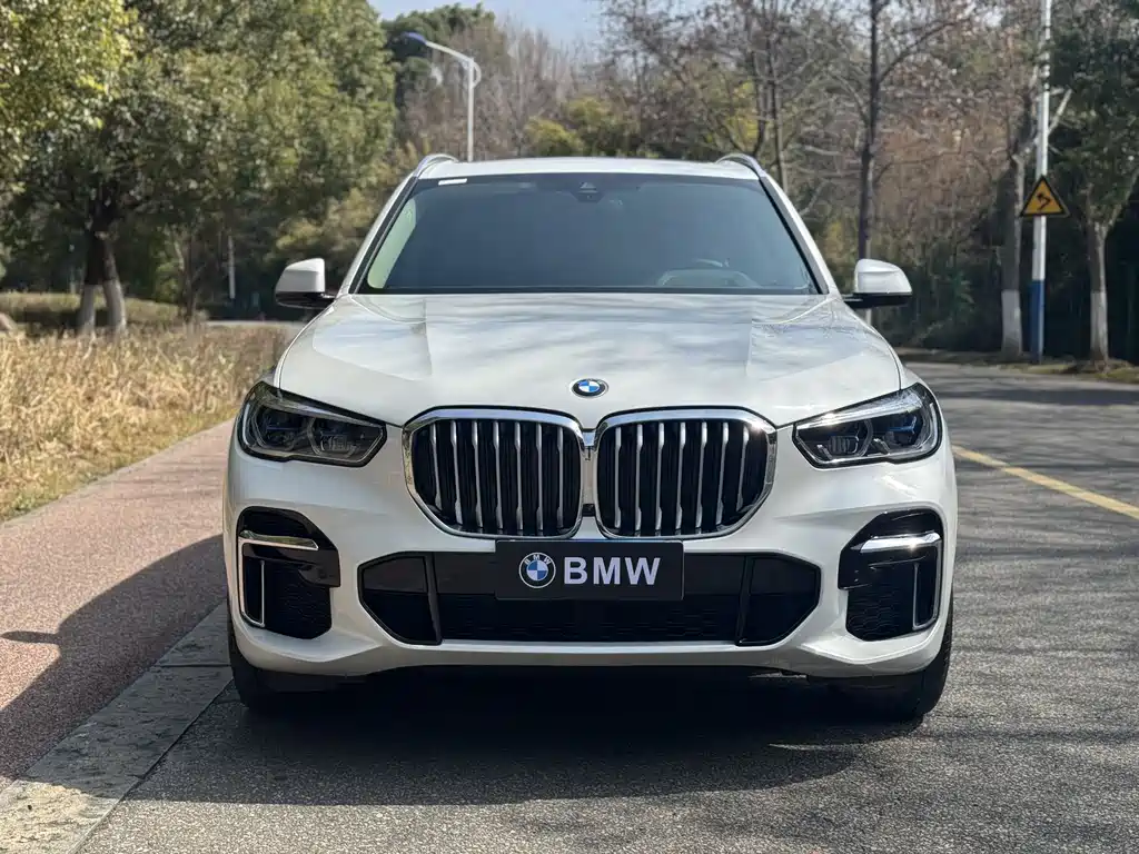 BMW X5 2023 — фото 2