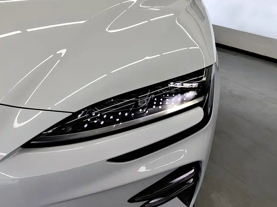 BYD Song PLUS New Energy 2024 — фото 5