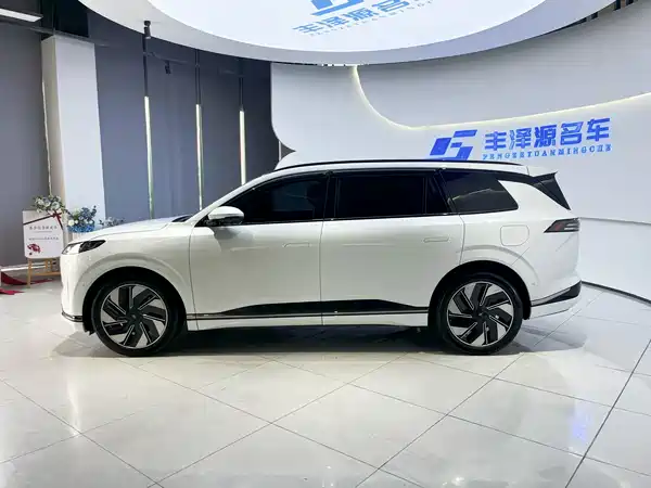 Dongfeng e008 2025