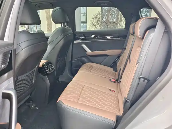BYD Tang New Energy 2025